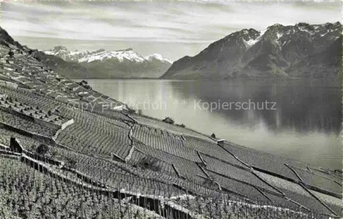 AK / Ansichtskarte Lavaux  VD Coteau-de-Lavaux Weinberge Genfersee Berge Schnee Terrassen Rebhaenge