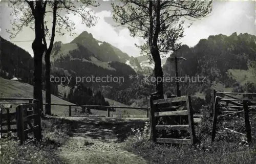 AK / Ansichtskarte Schwarzsee Lac Noir 1050m Sense FR Spitzfluh Les-Recardets Berglandschaft Weide Holzzaun Baeume Alpen Tal