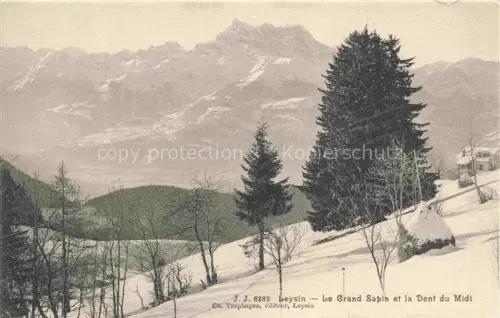 AK / Ansichtskarte Leysin VD Grand-Sapin Dent-du-Midi Winterlandschaft Schnee Tannen Bergpanorama
