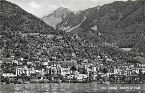 AK / Ansichtskarte Territet MONTREUX VD Rochers-de-Naye Genfersee Hotels Berge Wald Stadtansicht