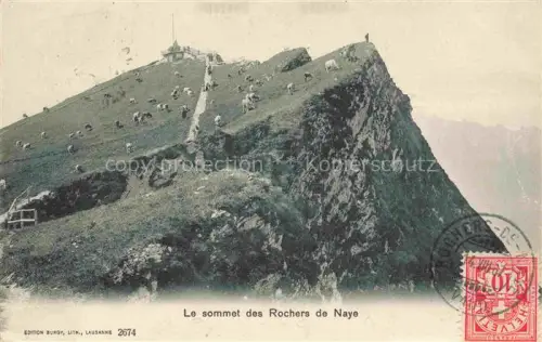 AK / Ansichtskarte Rochers de Naye VD Rochers-de-Naye Gipfel Bergspitze Kuehe Bergstation Felsen Wanderer