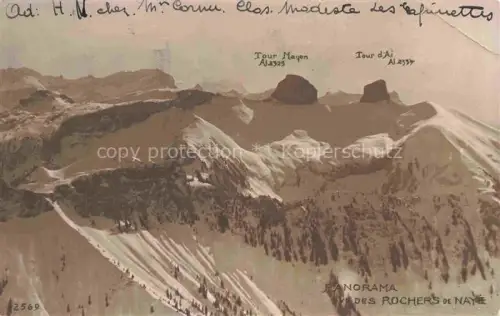 AK / Ansichtskarte Rochers de Naye VD Tour-Mayen Tour-d Aï Berggipfel Schnee Wald Panorama