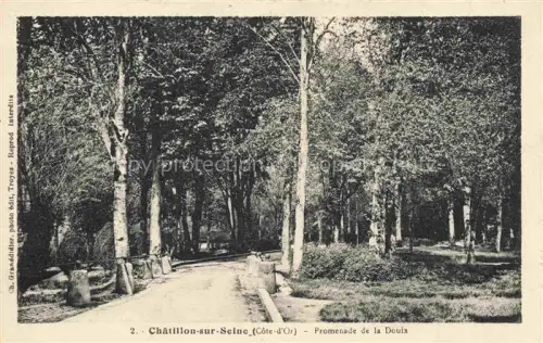AK / Ansichtskarte Chatillon-sur-Seine Montbard 21 Cote-d Or Promenade-de-la-Douix Allee Baeume Park Weg