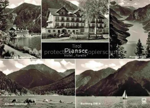 AK / Ansichtskarte Plansee 973m REUTTE Breitenwang Ausserfern Tirol AT Hotel-Forelle See Berge Badestrand Alm Blattberg Segelboot