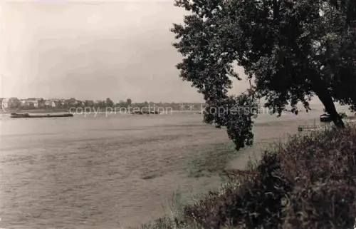 AK / Ansichtskarte Bendorf Rhein Mayen-Koblenz Rheinland-Pfalz Rhein Lastkahn Frachtschiff Flussufer Baeume Uferweg