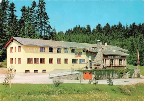 AK / Ansichtskarte Haering Haering Bad Tirol AT Kurmittelhaus Kurort Wald Nadelwald Wiese Fichtenwald