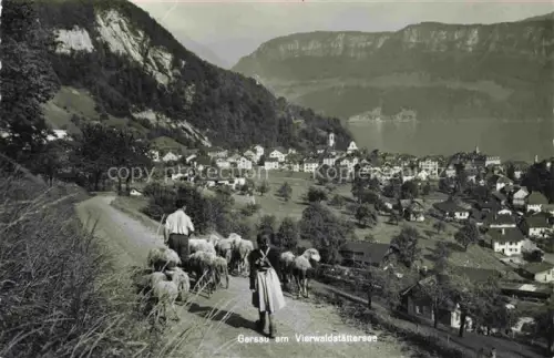 AK / Ansichtskarte Gersau Vierwaldstaettersee SZ Vierwaldstaettersee Schafe Hirte Dorf Berge See Kirche Wiesen Tracht