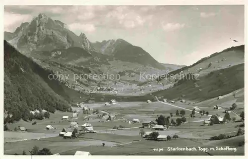 AK / Ansichtskarte Starkenbach Alt St Johann Toggenburg SG Tal Schafberg Berge Wiesen Hoefer Strasse Alpen