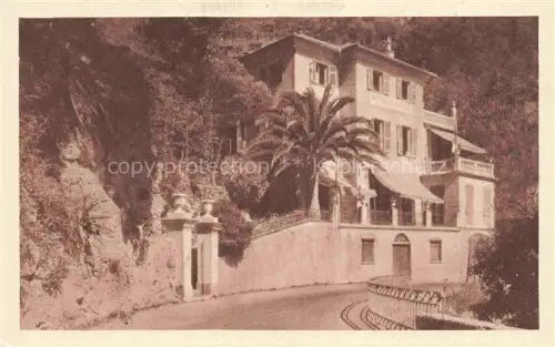 AK / Ansichtskarte Riva  del Garda Riva sul Garda IT Pensione-Piccolo-Hotel Villa Palme Felsen Eingangstor Balkon Terrasse