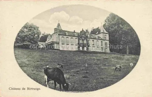 AK / Ansichtskarte Birtrange (Chateau) Birtringen Schieren LUXEMBOURG Luxemburg Château-de-Birtrange Schloss Kuehe Wiese Baeume Park