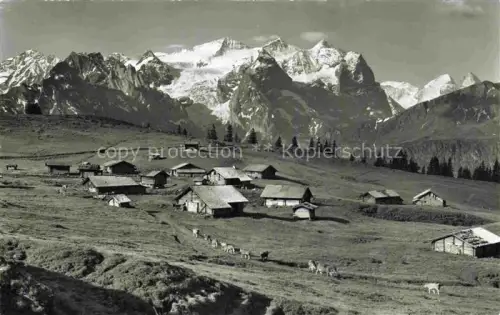 AK / Ansichtskarte Hasliberg Goldern Balisalp Almhuetten Engelhoerner Wetterhoerner Moench Eiger Kuehe Alp