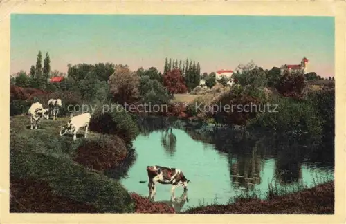AK / Ansichtskarte Louhans 71 Saone-et-Loire Seille Kuehe Fluss Weide Dorf Baeume Kirchturm Landschaft
