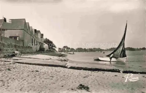 AK / Ansichtskarte Ile-Tudy QUIMPER 29 Finistere Strand Segelboot Kueste Haeuser Hund Colonie-de-Vacances Bucht