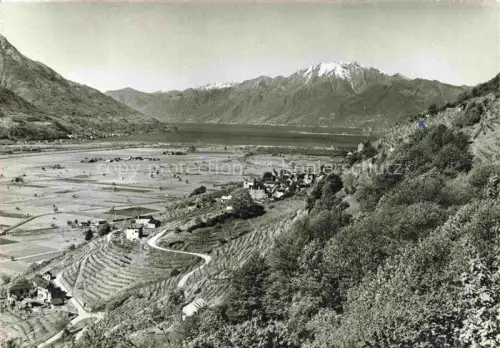 AK / Ansichtskarte Agarone Locarno TI Locarno Tal Terrassen Weinberge Berge See Ebene