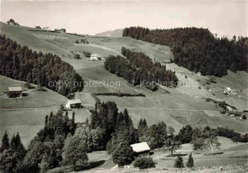 AK / Ansichtskarte Reitenberg Schwendi Wildhaus Toggenburg SG Toggenburg Brunnadern Huegel Wiesen Tannenwald Bauernhaeuser Landschaft