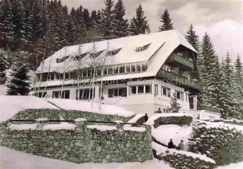AK / Ansichtskarte Hinterzarten Breisgau-Hochschwarzwald BW Haus-am-Tannenhain Schwarzwald Hotel Schnee Winter Tannen
