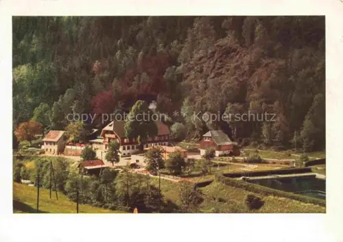 AK / Ansichtskarte Todtnau Schwarzwald BW Hotel-Waldeck Schwarzwald Tal Wald Fachwerkhaeuser Wiese Felsen