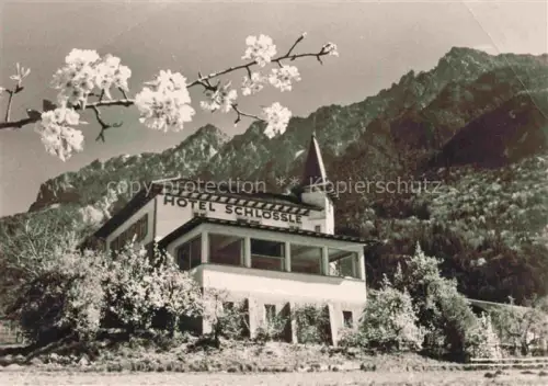 AK / Ansichtskarte Vaduz Liechtenstein FL Hotel-Schloessle Hotelfassade Berge Kirschbluete Fruehjahr