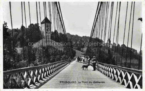AK / Ansichtskarte Freiburg Fribourg FR Pont-du-Gotteron Haengebruecke Turm Spaziergaenger Hund Baeume Schlucht