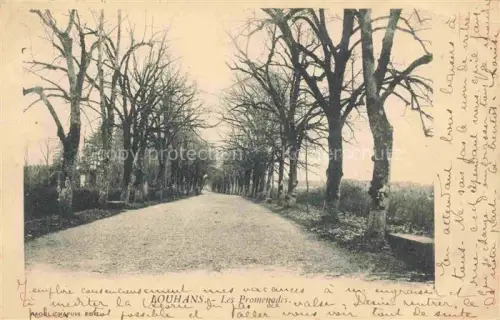 AK / Ansichtskarte Louhans 71 Saone-et-Loire Les-Promenades Allee Baeume Alleen Weg Herbst