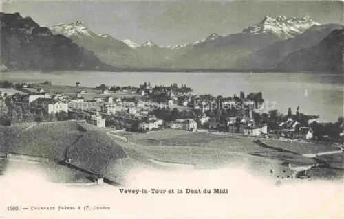 AK / Ansichtskarte La Tour-de-Peilz VEVEY VD Dent-du-Midi Genfersee Ortschaft Alpen Weinberge Berge Seeufer