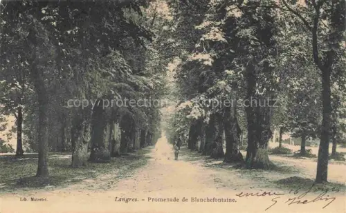 AK / Ansichtskarte LANGRES 52 Haute-Marne Promenade-de-Blanchefontaine Baumallee Weg Baeume Spaziergaenger Park