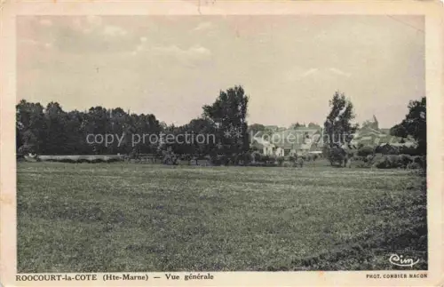 AK / Ansichtskarte Roocourt-la-Cote Bologne Chaumont 52 Haute-Marne Dorfpanorama Wiese Baeume Kirchturm Gebaeude Felder