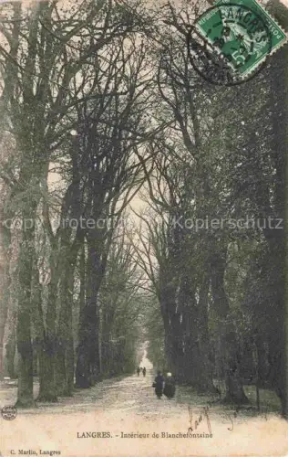 AK / Ansichtskarte LANGRES 52 Haute-Marne Intérieur-de-Blanchefontaine Baumallee Weg kahle-Baeume Spaziergaenger Park