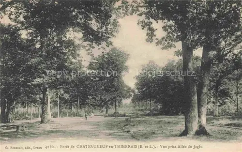AK / Ansichtskarte Chateauneuf-en-Thymerais Chateauneuf-en-Thimerais 28 Eure-et-Loir Forêt-de-Chateauneuf-en-Thimerais Allée-du-Jaglu Waldweg Baeume Wald Allee