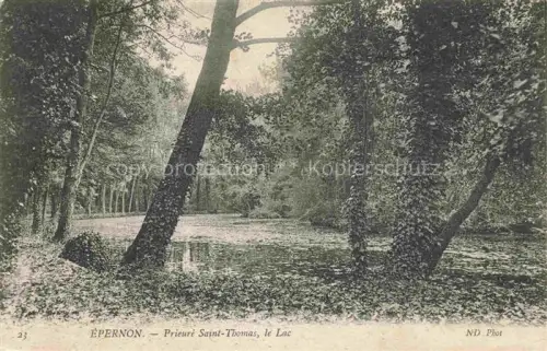 AK / Ansichtskarte Epernon Chartres 28 Eure-et-Loir Prieuré-Saint-Thomas Lac Teich Baeume Wald Seerosenteich Park