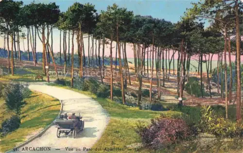 AK / Ansichtskarte ARCACHON 33 Gironde Parc-des-Abatilles Kiefernwald Allee Automobil Duenen Landschaft