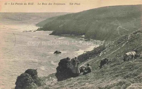 AK / Ansichtskarte Baie des Trepasses Pointe du Raz 29 QUIMPER Finistere Baie-des-Trépassés Pointe-du-Raz Kueste Bucht Kuehe Trachten Meer Huegel