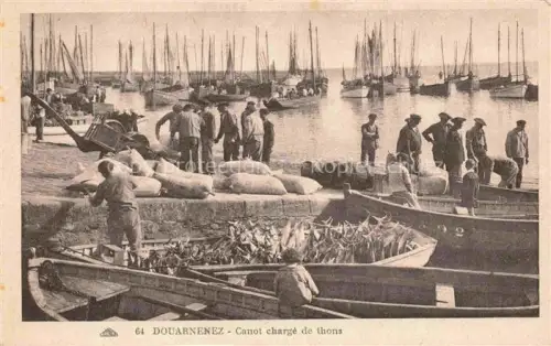 AK / Ansichtskarte Douarnenez QUIMPER 29 Finistere Hafen Fischerboote Thunfisch Canot Fischer Segelboote Saecke