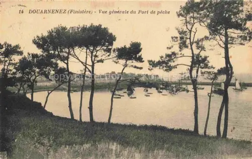 AK / Ansichtskarte Douarnenez QUIMPER 29 Finistere Port-de-peche Fischerhafen Pinien Bucht Segelboote Wohnhaeuser