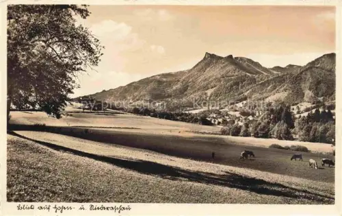 AK / Ansichtskarte Niederaschau Chiemgau Bayern Hoyen Berge Kuehe Wiesen Wald Dorf Alpenvorland Chiemgau