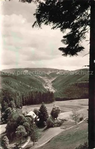 AK / Ansichtskarte Triberg Schwarzwald BW Lindengrund Schwarzwald Tal Wald Wiesen Haus Panorama