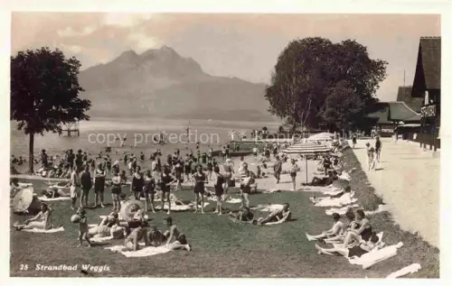AK / Ansichtskarte Weggis Vierwaldstaettersee LU Strandbad Badegaeste Vierwaldstaettersee Pilatus Berge Liegewiese Strandgebaeude