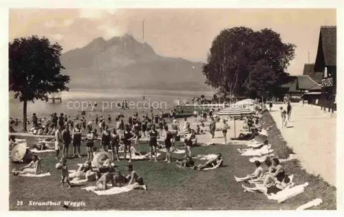AK / Ansichtskarte Weggis Vierwaldstaettersee LU Strandbad Badegaeste Vierwaldstaettersee Pilatus Berge Liegewiese Strandgebaeude