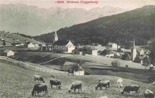 AK / Ansichtskarte Wildhaus  Toggenburg SG Dorfansicht Kirche Kuehe Weide Berge Toggenburg