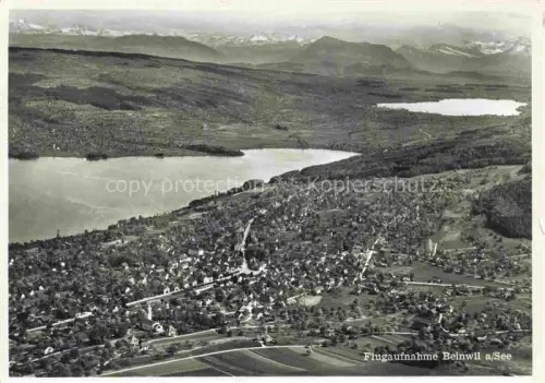 AK / Ansichtskarte Beinwil See AG Hallwilersee Luftbild Dorf Haeuser Kirche Seeufer Berge Felder