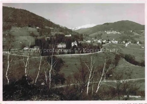 AK / Ansichtskarte Novaggio Lugano TI Huegellandschaft Birken Dorf Kurort Wiesen Bergpanorama