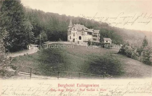 AK / Ansichtskarte Bad Sachsa Osterode Harz Niedersachsen Berghotel-Eulingswiese Harz Villa Wald Wiese Gruenderzeit