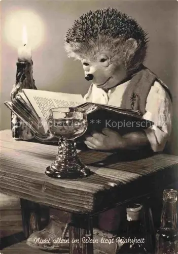 AK / Ansichtskarte MECKI Nr. 80 Gebrueder Diehl Hoer Zu Wein Buch Lesestunde