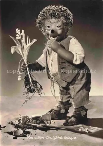AK / Ansichtskarte MECKI Nr. 26 Gebrueder Diehl Hoer Zu Glueck bringen Schneeglocke 