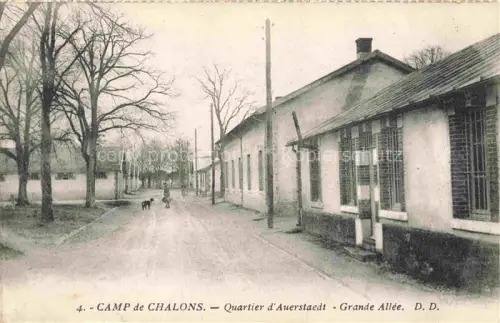 AK / Ansichtskarte Camp de Mourmelon 51 Marne Quartier-d Auerstaedt Grande-Allée Allee Baeume Kasernen Hund Soldat
