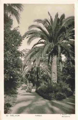 AK / Ansichtskarte MALAGA Andalucia ES Parque Palmen Park Allee Spaziergaenger Vegetation