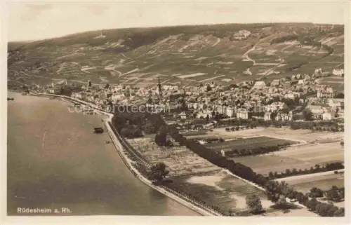 AK / Ansichtskarte RueDESHEIM am Rhein Hessen Rhein Weinberge Ortschaft Kirchturm Uferstrasse Felder