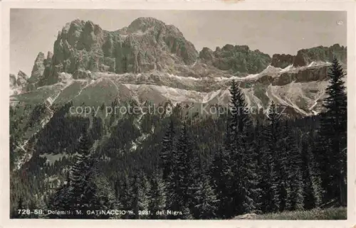 AK / Ansichtskarte Tires Bolzano Dolomiti Dolomiten IT Catinaccio Rosengarten Dolomiten Felsen Bergwald Tannen