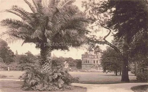 AK / Ansichtskarte DRESDEN Elbe Grosser-Garten Palais Palmenbaum Park Wiese Skulptur Baeume