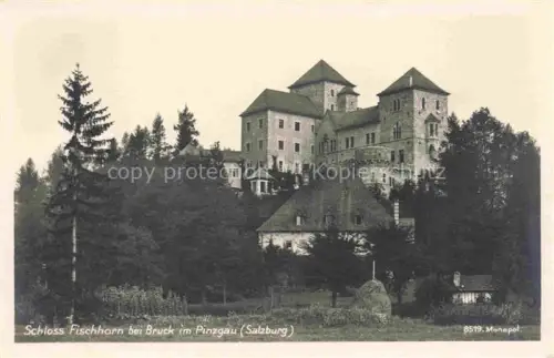 AK / Ansichtskarte Bruck Glocknerstrasse Pinzgau-Pongau AT Schloss-Fischhorn Pinzgau Schloss Baeume Wald Wiesen Turm